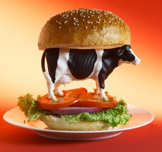hamburger de vaca